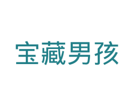 宝藏男孩 第28类体育玩具商标图样