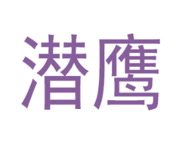 潜鹰 第25类服装鞋帽商标图样