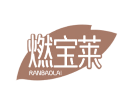 燃宝莱 第29类食品商标图样