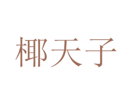 椰天子 第29类食品商标图样