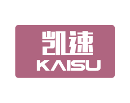 凯速 第9类科学仪器商标图样