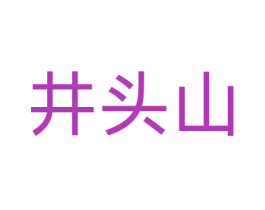 井头山 第9类科学仪器商标图样