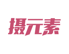 摄元素 第43类餐饮酒店商标图样