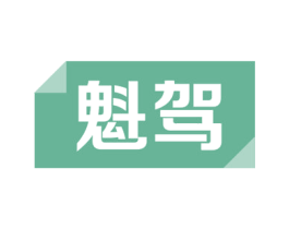 魁驾 第9类科学仪器商标图样
