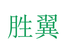 胜翼 第14类珠宝钟表商标图样