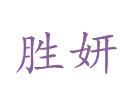 胜妍 第18类皮革箱包商标图样