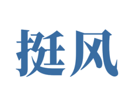 挺风 第5类医药商标图样