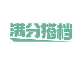 满分搭档 第28类体育玩具商标图样