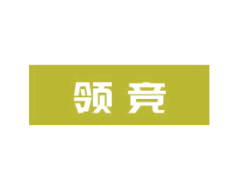 领竞 第28类体育玩具商标图样