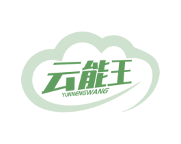 云能王 第42类技术服务商标图样