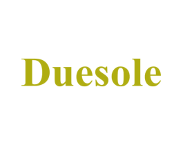 DUESOLE 第11类家用电器商标图样