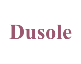DUSOLE 第11类家用电器商标图样