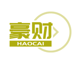 豪财 第36类金融物管商标图样