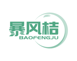 暴风桔 第35类广告贸易商标图样