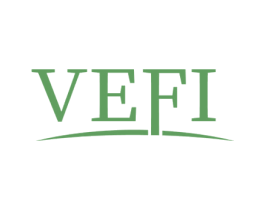VEFI 第25类服装鞋帽商标图样