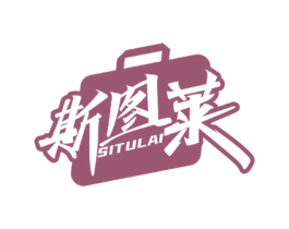 斯图莱 第25类服装鞋帽商标图样