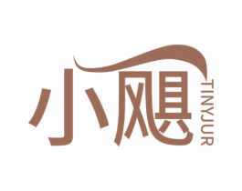 小飓 TINYJUR 第12类运输工具商标图样