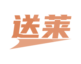 送莱 第39类运输旅行商标图样