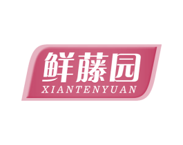 鲜藤园 XIANTENYUAN 第32类啤酒饮料商标图样