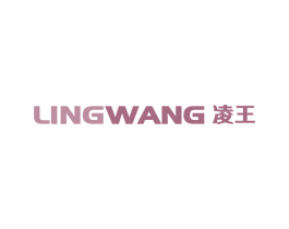 凌王 第9类科学仪器商标图样