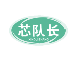 芯队长 第9类科学仪器商标图样