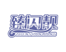 臻闪靓 第11类家用电器商标图样