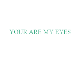 YOUR ARE MY EYES 第38类通讯传媒商标图样