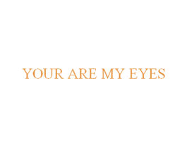 YOUR ARE MY EYES 第9类科学仪器商标图样
