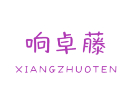响卓藤XIANGZHUOTEN 第9类科学仪器商标图样