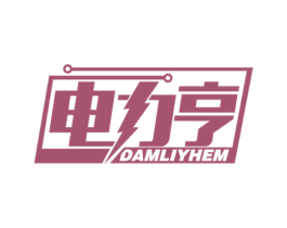 电力亨 DAMLIYHEM 第9类科学仪器商标图样