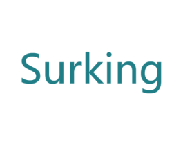 SURKING 第18类皮革箱包商标图样