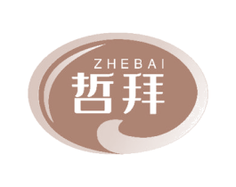 哲拜 第10类医疗器械商标图样