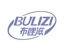 布哩滋 第9类科学仪器商标图样