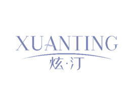 炫·汀 第3类化妆品商标图样