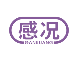 感况 第9类科学仪器商标图样
