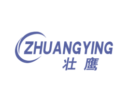 壮鹰 第9类科学仪器商标图样