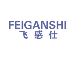 飞感仕 第9类科学仪器商标图样