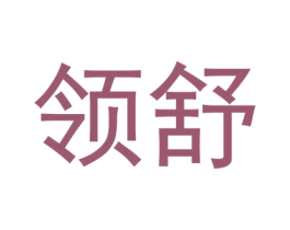 领舒 第9类科学仪器商标图样