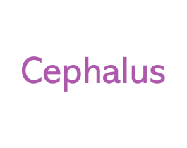 CEPHALUS 第28类体育玩具商标图样