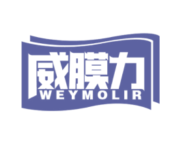 威膜力 WEYMOLIR 第9类科学仪器商标图样