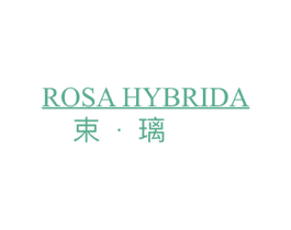 束·璃 ROSA HYBRIDA 第25类服装鞋帽商标图样