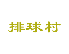 排球村 第41类教育娱乐商标图样