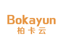 柏卡云 第9类科学仪器商标图样