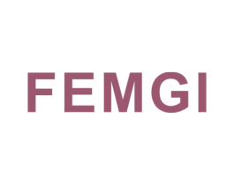 FEMGI 第18类皮革箱包商标图样