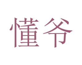 懂爷 第9类科学仪器商标图样