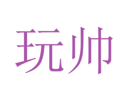 玩帅 第9类科学仪器商标图样