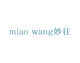 妙往 第29类食品商标图样
