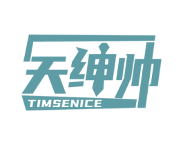 天绅帅 TIMSENICE 第25类服装鞋帽商标图样