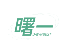 曙一 DAWNBEST 第1类化学原料商标图样