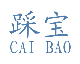 踩宝 第42类技术服务商标图样